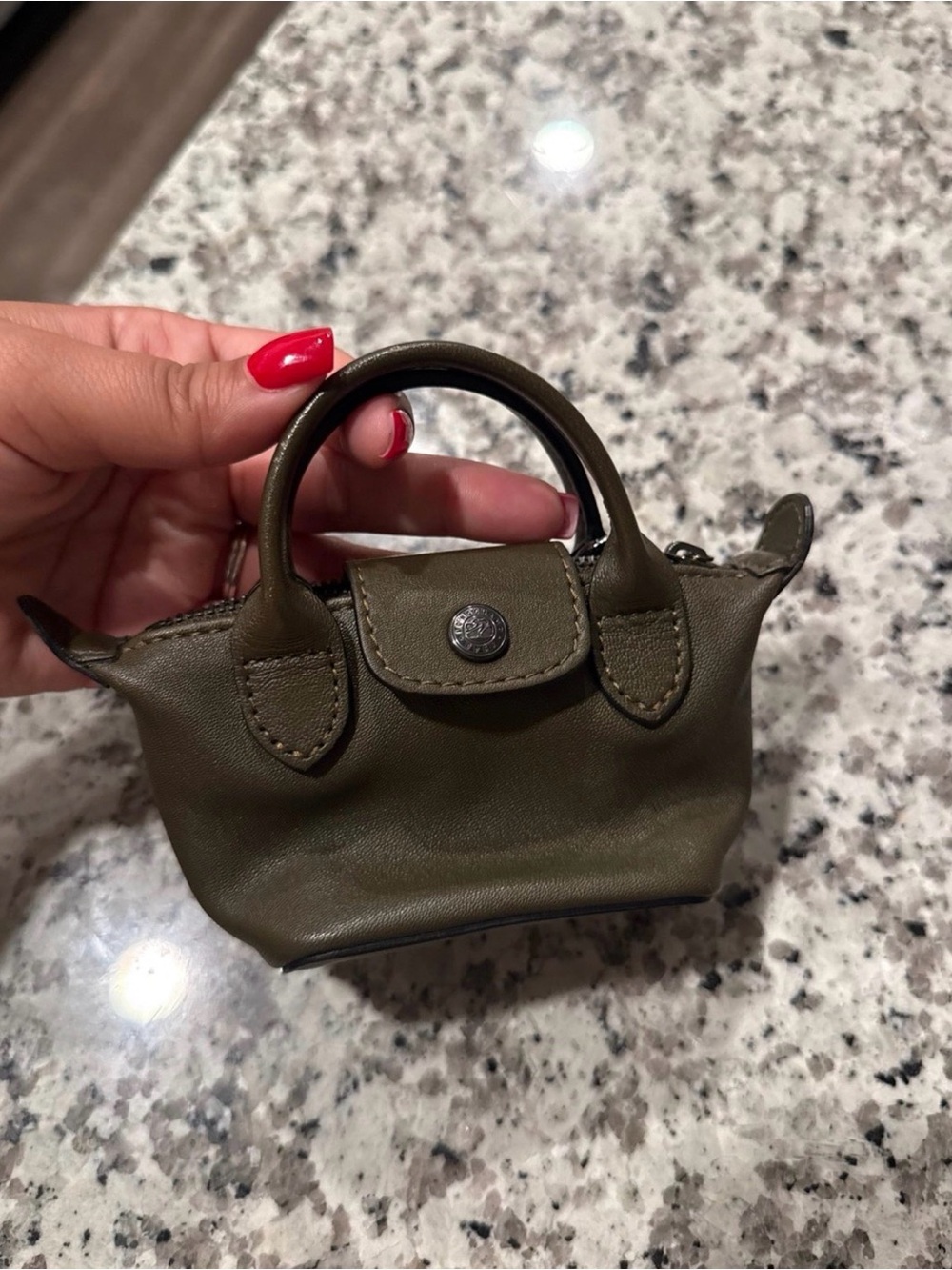 Longchamp Le Pliage Pouch